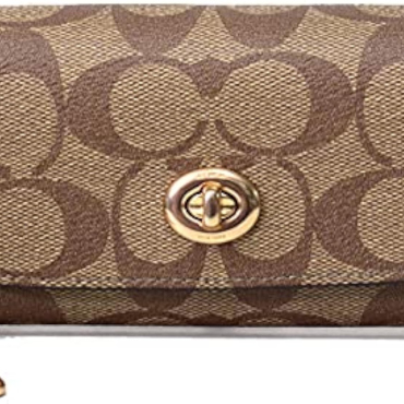 Coach Signature Sunglasses Case Gold Khaki