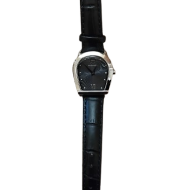 Aigner Molise Silver Black Leather Strap Watch